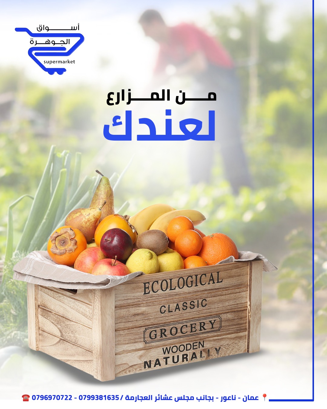 489828362 1131408028998632 7628357203488749247 N