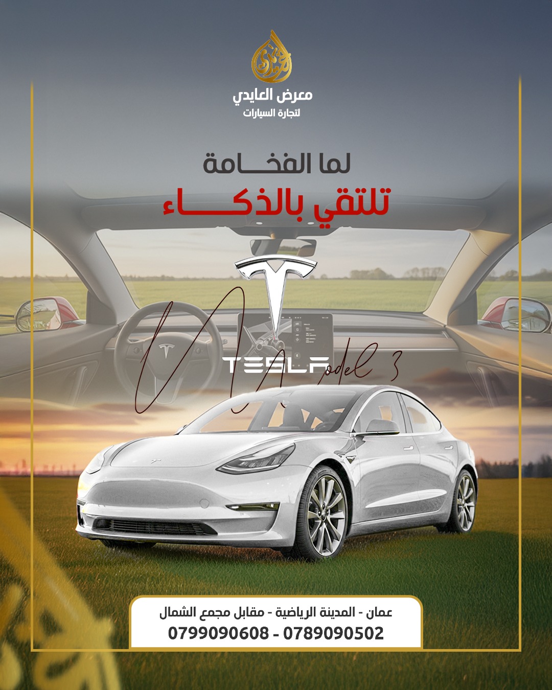 578964846 1139283878401420 8292528434971106281 N