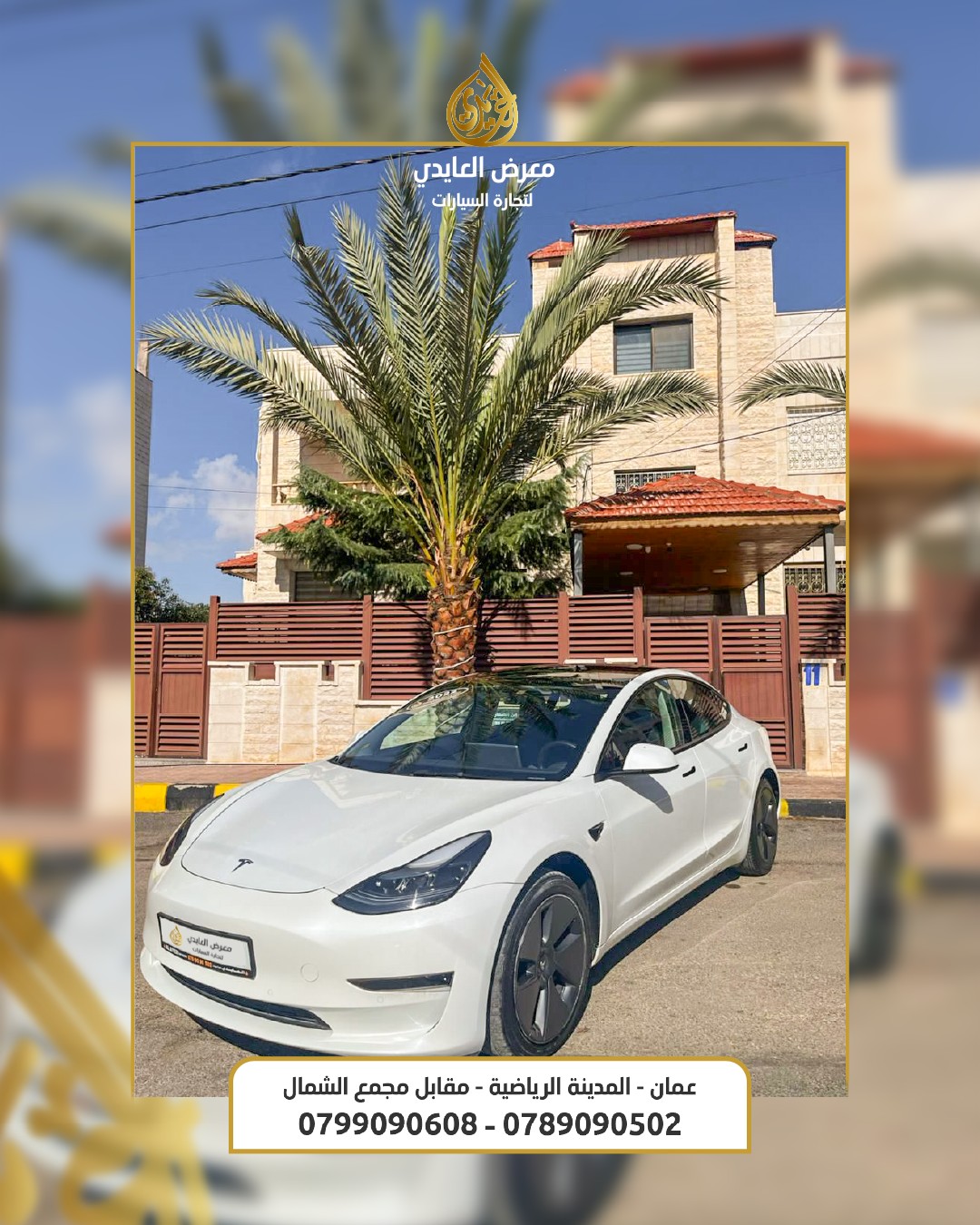 585624659 1144144461248695 5735046125744153384 N