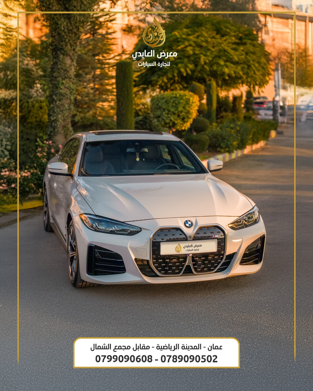 591718982 1152900867039721 6178322668476690564 N